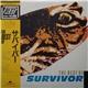 Survivor - The Best Of Survivor
