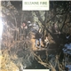 Beltane Fire - Excalibur