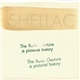Shellac - The Rude Gesture (A Pictorial History)