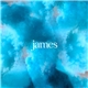 James - Broken By The Hurt