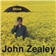John Zealey - Shine