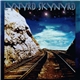 Lynyrd Skynyrd - Edge Of Forever