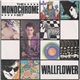 The Monochrome Set - Wallflower / Big Ben Bongo
