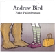 Andrew Bird - Fake Palindromes