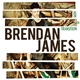 Brendan James - Hope In Transition