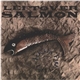 Leftover Salmon - Ask The Fish Live