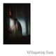 Whispering Sons - On Image A Live Session