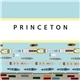 Princeton - Calypso Gold