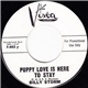 Billy Storm - Puppy Love Is Here To Stay / Push Over