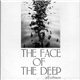 Jeff Johnson - The Face Of The Deep