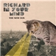 Richard In Your Mind - The New Sun