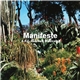 Various - Manifeste A.P.C. (Section Musicale)