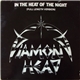 Diamond Head - In The Heat Of The Night