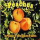 The Presidents Of The United States Of America - Peaches