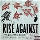 Rise Against - Long Forgotten Songs: B-sides & Covers 2000-2013