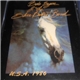 Bob Seger & The Silver Bullet Band - U.S.A. 1986