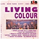 Living Colour - Live New York City 1983