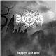 Svorg - In Spirit And Mist