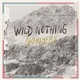 Wild Nothing - Nowhere