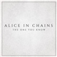 Alice In Chains - The One You Know