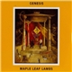 Genesis - Maple Leaf Lambs